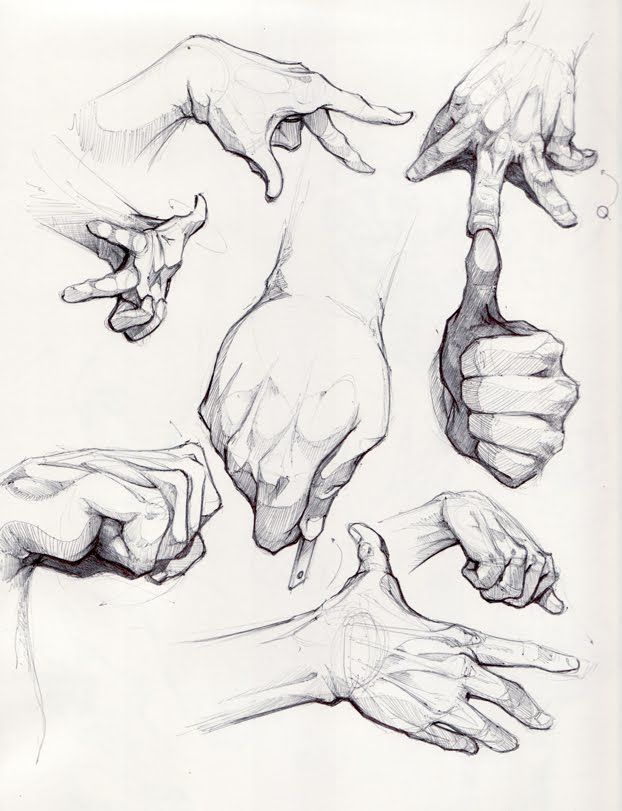 Body Parts Anatomy Study Drawing by Irina Sztukowski - Pixels-saigonsouth.com.vn